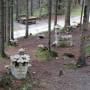 dscn0669.jpg