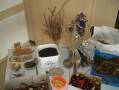 dsc06434.jpg