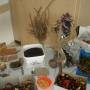 dsc06434.jpg