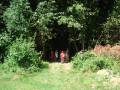 dsc07091.jpg